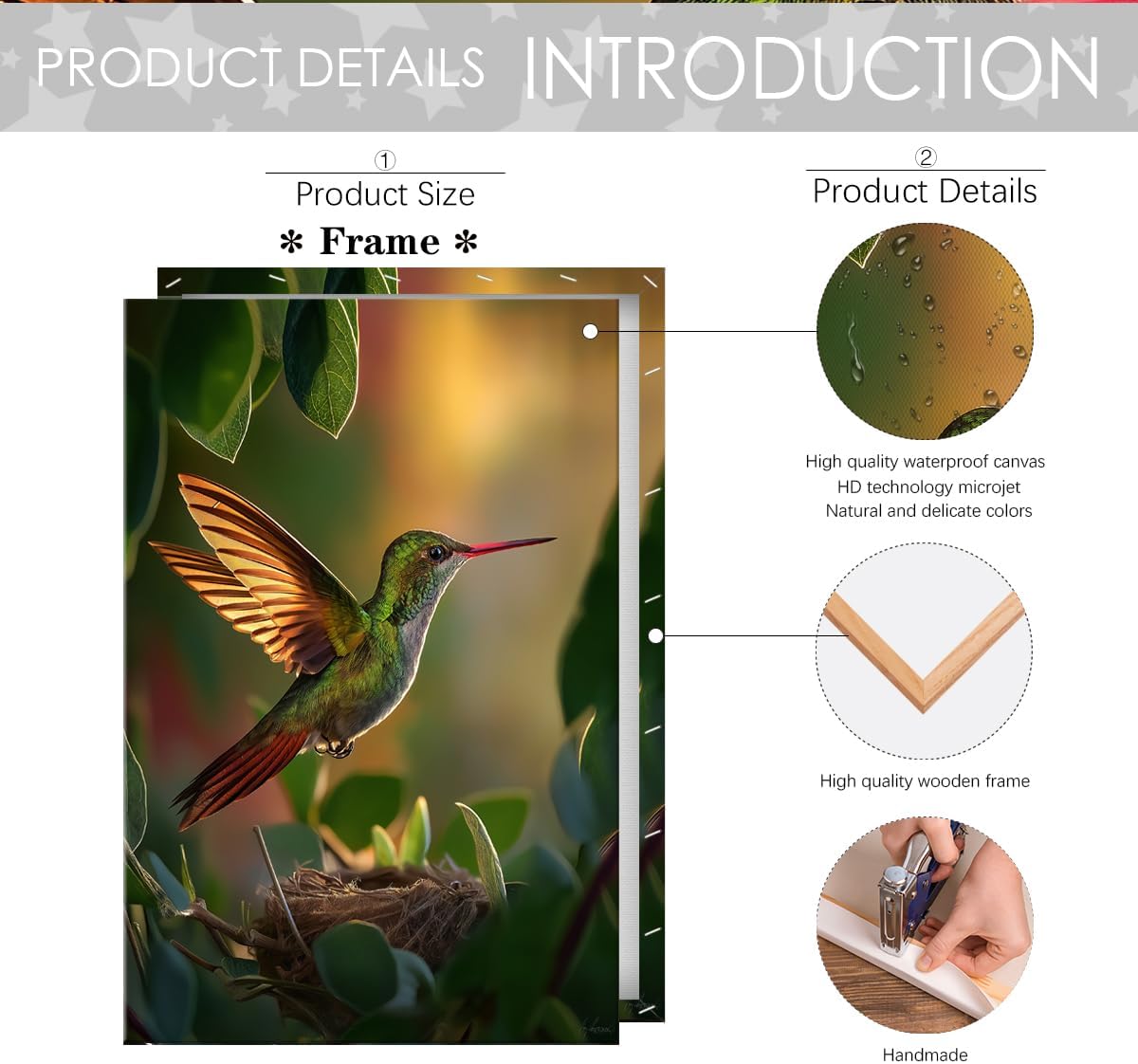 Nature Bird Wall Art Realistic Radiant Poster Hummingbird in Flight Canvas Print for Living Room Bedroom Office Nursery Botanical Garden Decor 11x14in Framed