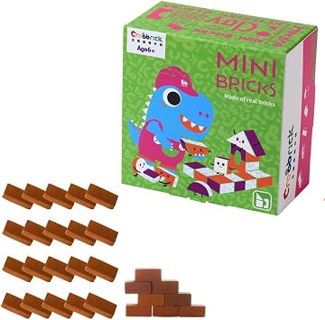 Real Red Clay Mini Bricks Sets, Construction Education Toy for Kids 6+ Years Old, Craft Bricks for Adults, Realistic House, DIY Garden, STEM Building Set, Washable & Reusable | Rectangle Brick 50pcs