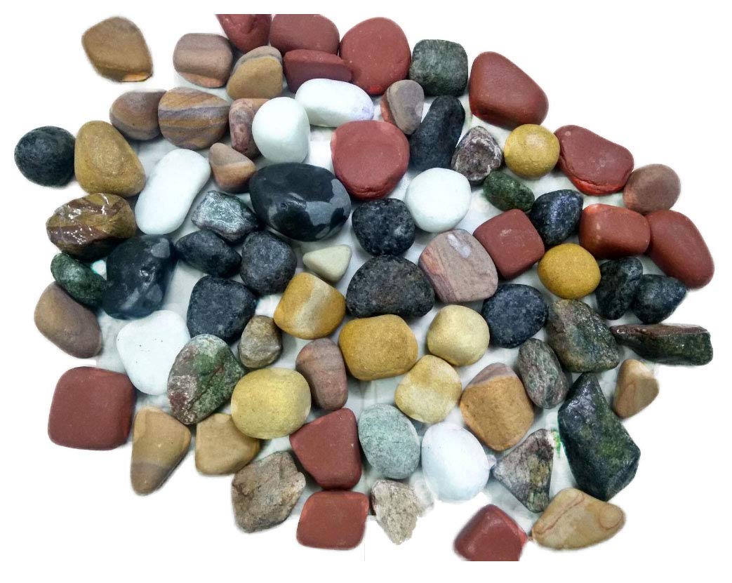 See full amazon price history chart for Maalavya 5kg River Stone Tumble for |Aquarium Decoration|Reef Tank Setup|Garden Decor|Water Stone Pebbles. Maalavya 5kg River Stone Tumble for |Aquarium Decoration|Reef Tank Setup|Garden Decor|Water Stone Pebbles. (B075VPF28J) Amazon Price History, Amazon Price Tracker