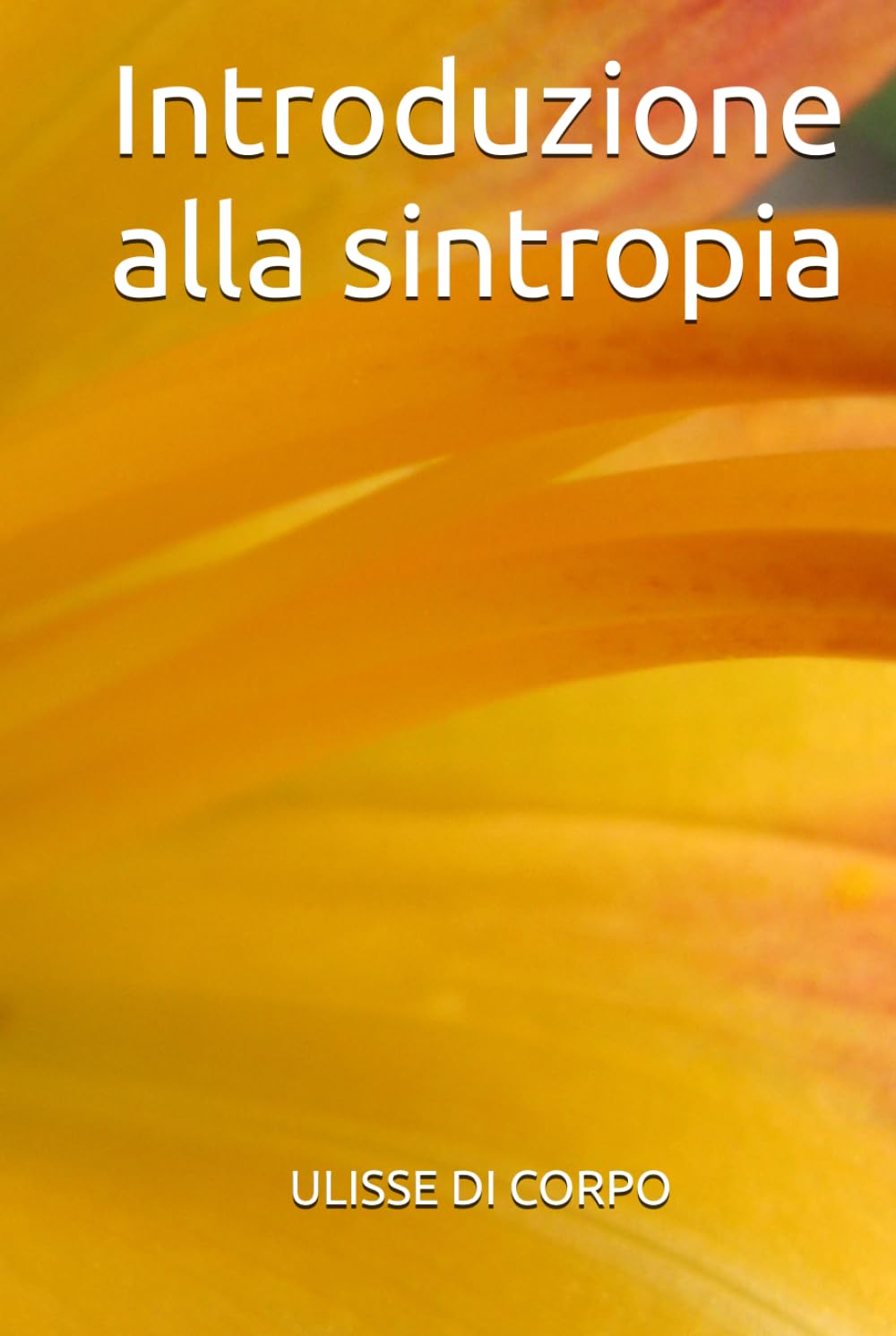 Introduzione alla sintropia