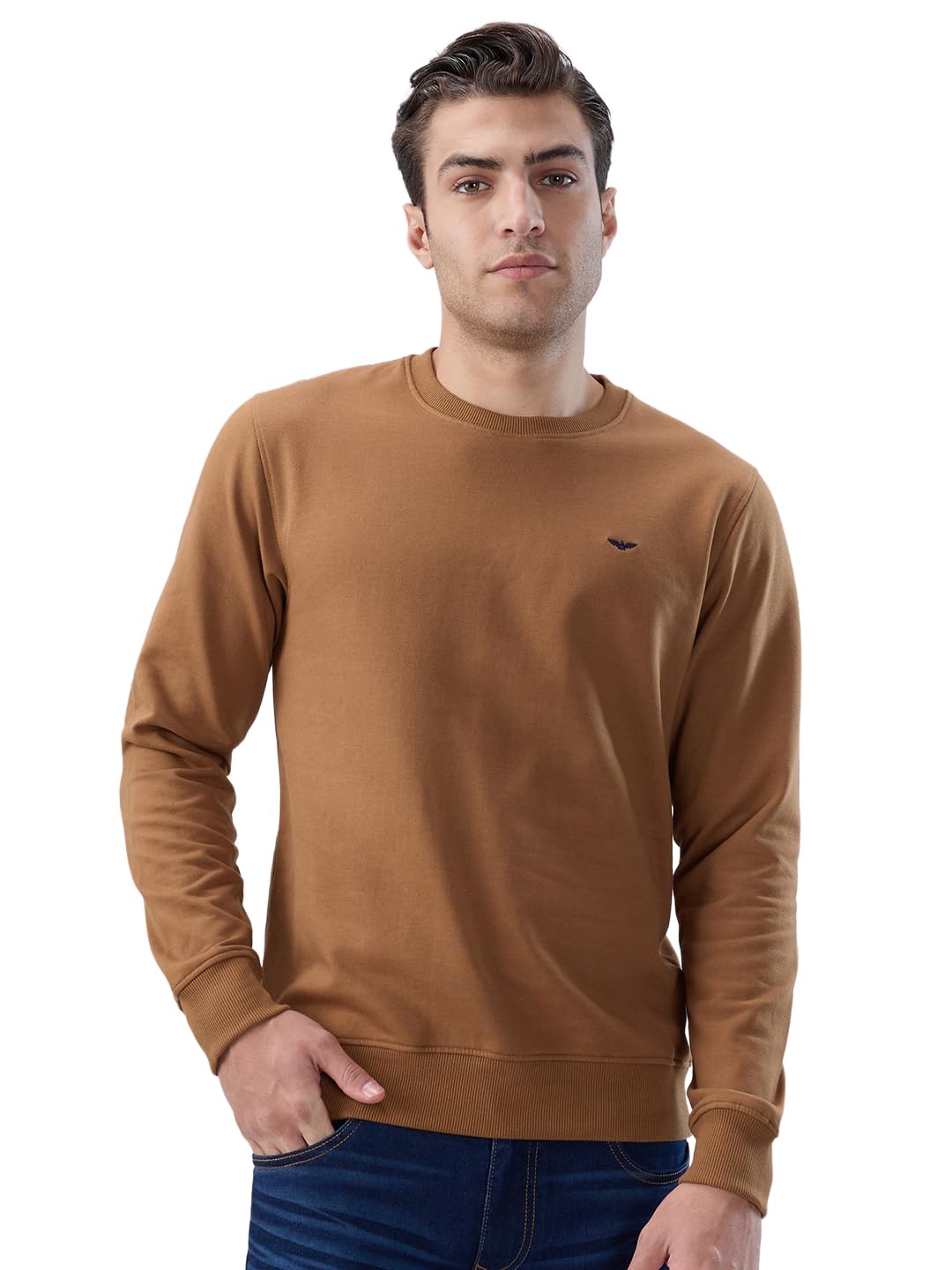 park avenue Men Slim Fit Solid Pattern Cotton Polyester Blend Regular Collar Full Sleeve Casual Sweatshirt-picture-38
