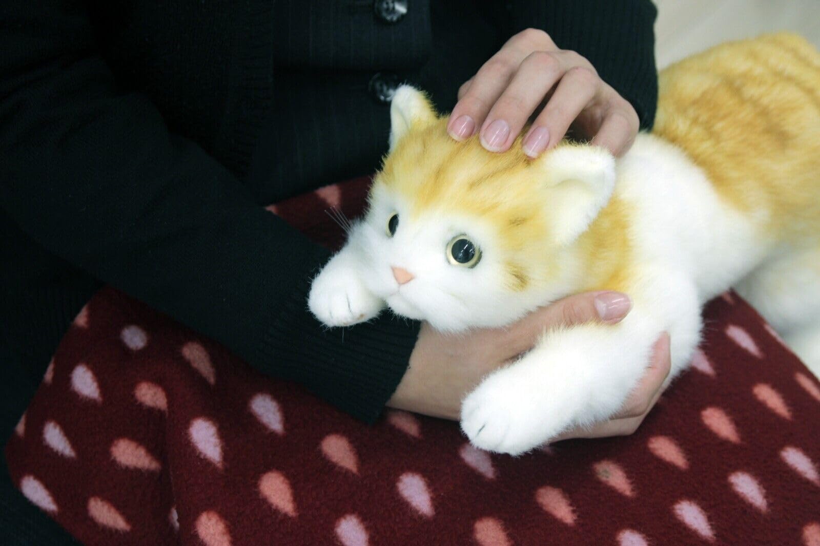 童心 リアルシリーズ 日本製 リアルな猫のぬいぐるみ58cm(クロネコL目あき) Amazon.co.jp: リアルシリーズ 日本製 リアルな猫のぬいぐるみ 58cm