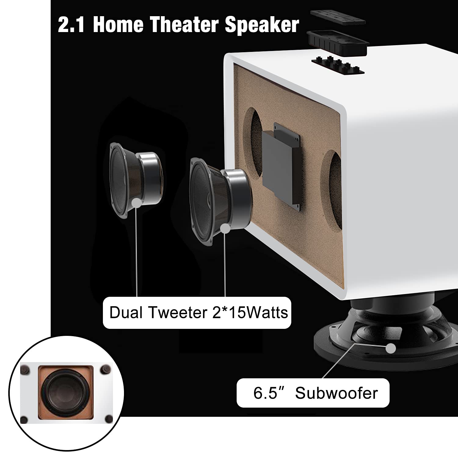 RHM Home Karaoke System on TV with 2 Wireless Microphones,All in One