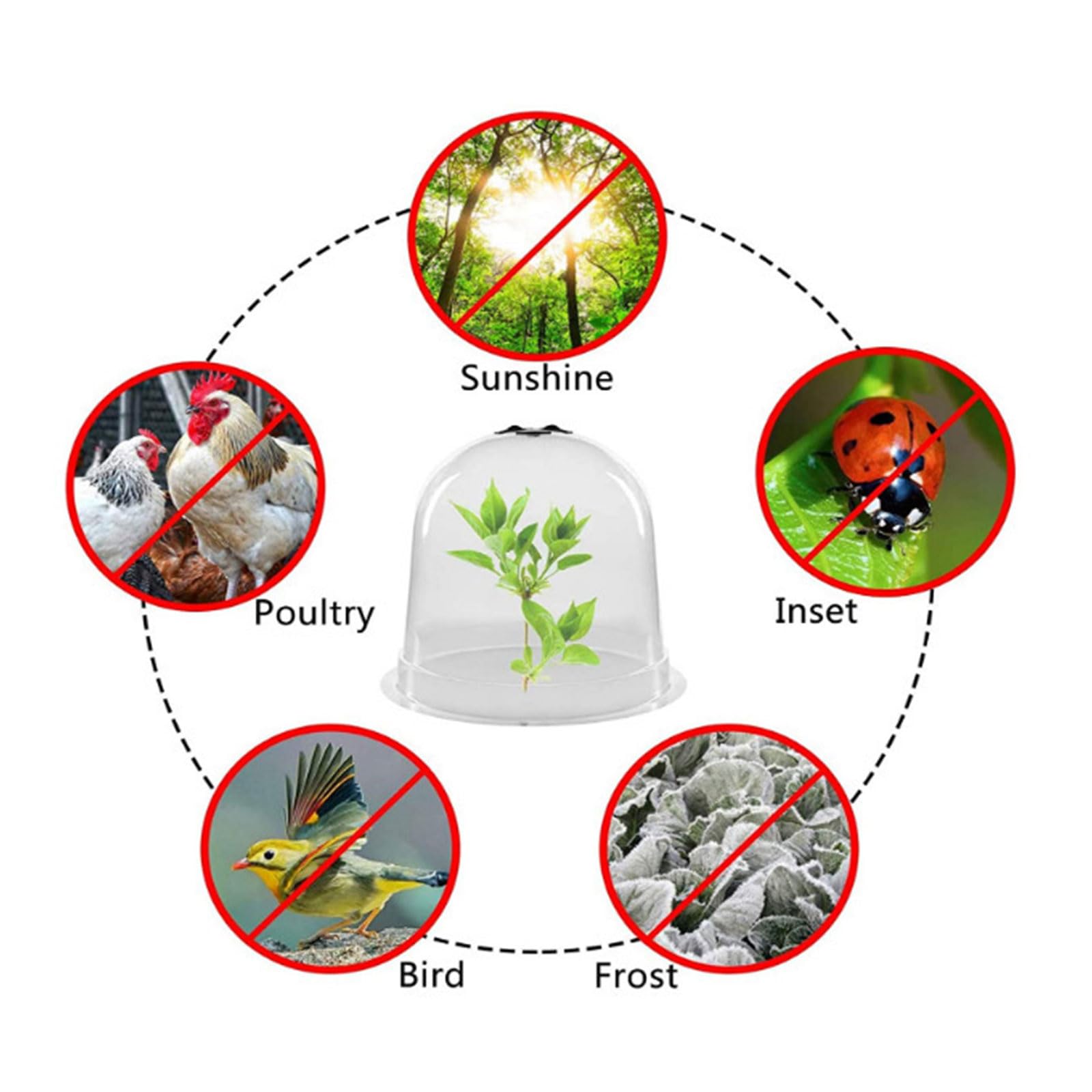 Cloche de jardin en forme de dôme pour plantes et humidité réutilisable