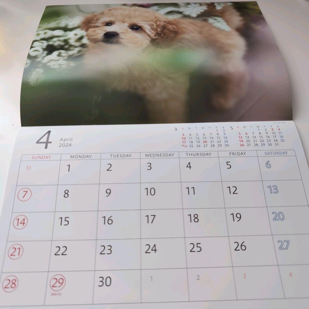 Amazon.co.jp: 生命 ゆかいな子犬たち 2024年 壁掛けカレンダー