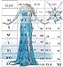 Choadam Princess Coronation Dress Snow Queen Adult Women cosplay wig necklace Costume Cosplay Halloween (Blue Dress+necklace,XL= 12-14size)