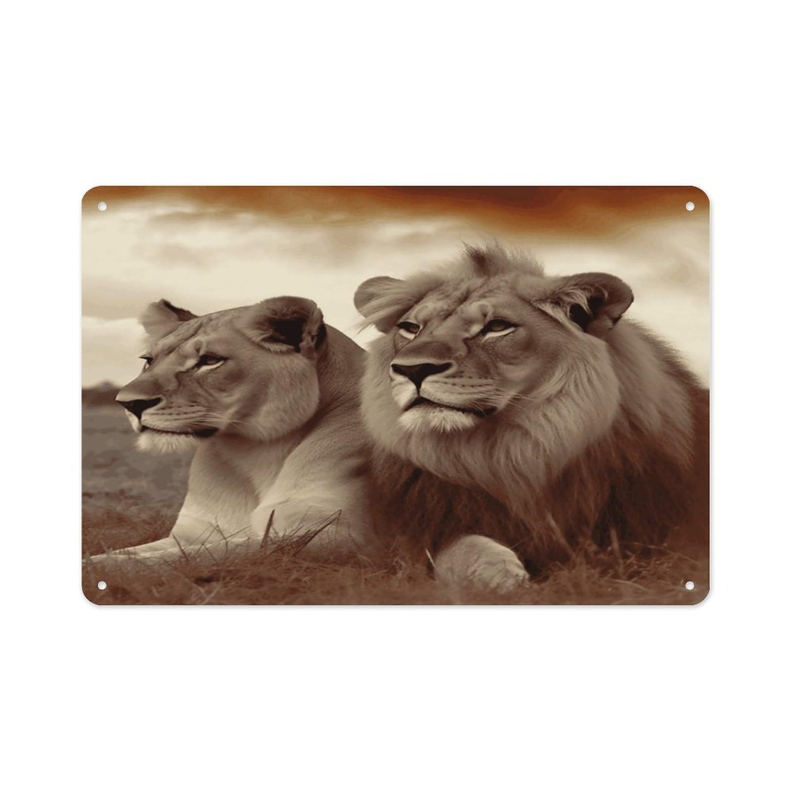 VstaDank Vintage Metal Sign Sublimation Aluminum African Lion And Lioness Plaque Sign Weatherproof Art Decorative Wall Plate Boho Aluminum Wall Hanging Decor Retro Poster Plaque 8x12in