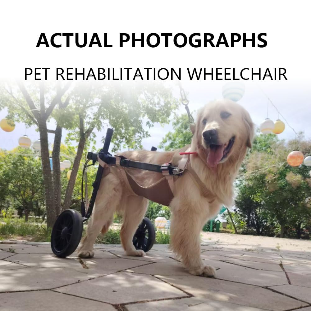 Carrito para Mascotas Silla de Ruedas Perros con Patas traseras Ajustable pequeños y Grandes Todoterreno Doble cojinete Malla Transpirable fácil Poner Quitar XL