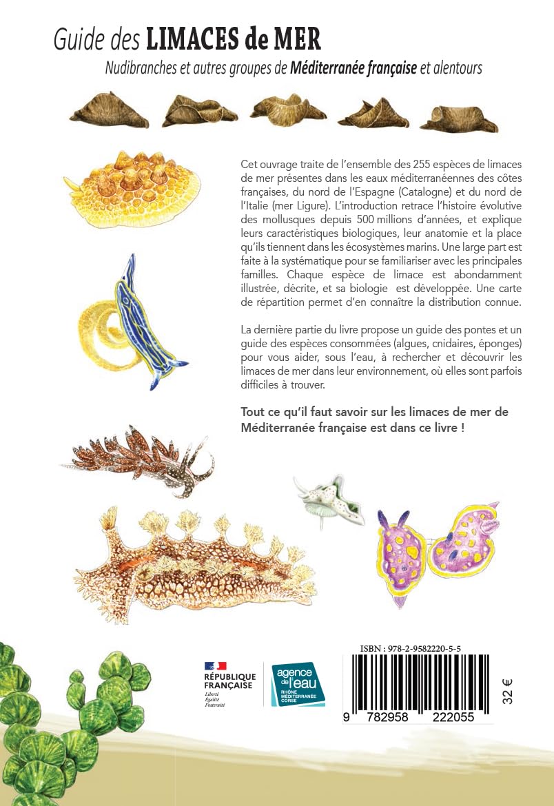 Guide des limaces de mer nudibranches et autres groupes de mediterranee francais