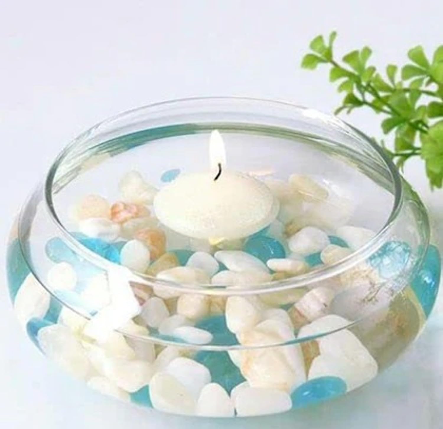 Clovefry Flower Glass Vase, Urli Bowl Terrarium Succulent Planter, Air Plant Display, Decorative Centerpiece Floral Container for Home or Wedding Set of 1, Clear (8 Inch)