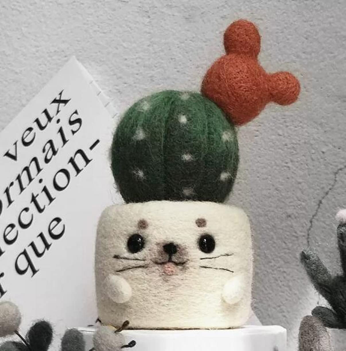 YJIUYUANQ Needle Felting Kit Cactus Full Range of Wool Felted Set DIY Crafts- Seal