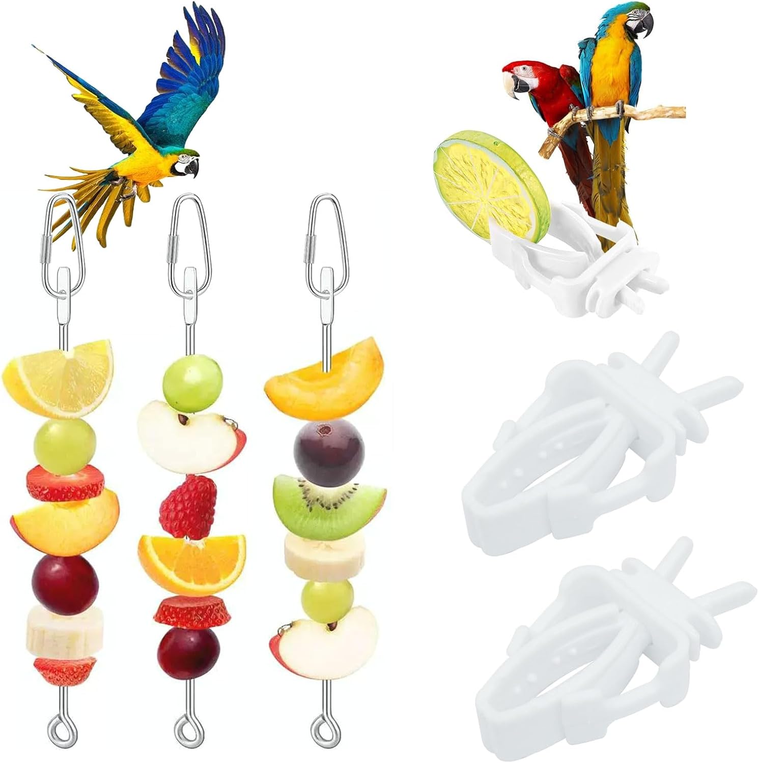 Zorfeter Bird Food Treats Skewer, 6 PCS, Stainless Steel