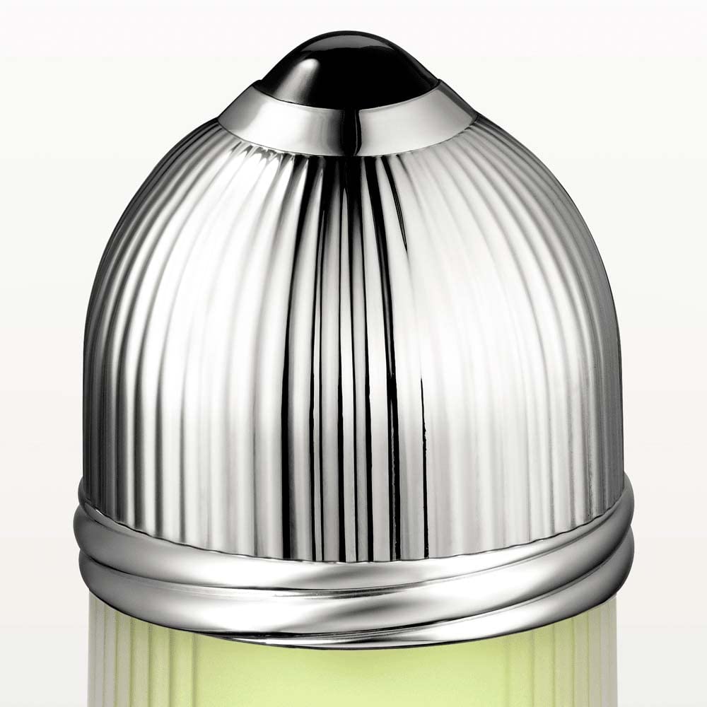 Amazon.com : Pasha de Cartier by Cartier for Men 3.3 oz Eau de