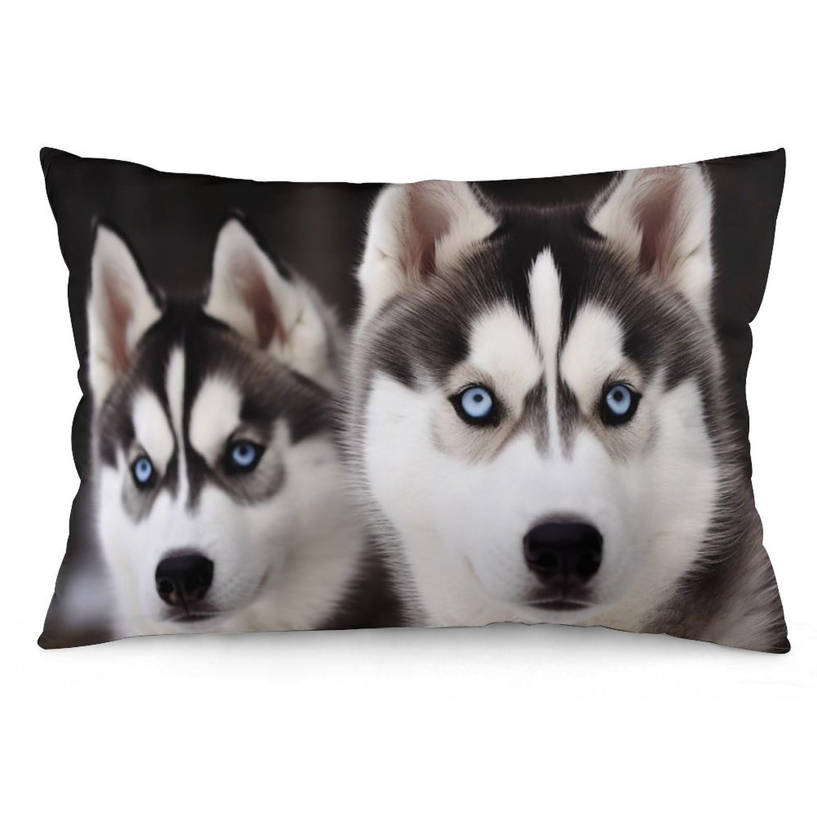 Velvet Pillowcases Standard Size 12 "x20, Ultra Soft Breathable Pillow Cases for Bed, Luxury Cozy Fuzzy Pillow Shams, Lumbar Pillow Cover, Husky Dog Cushion Case Home Decor
