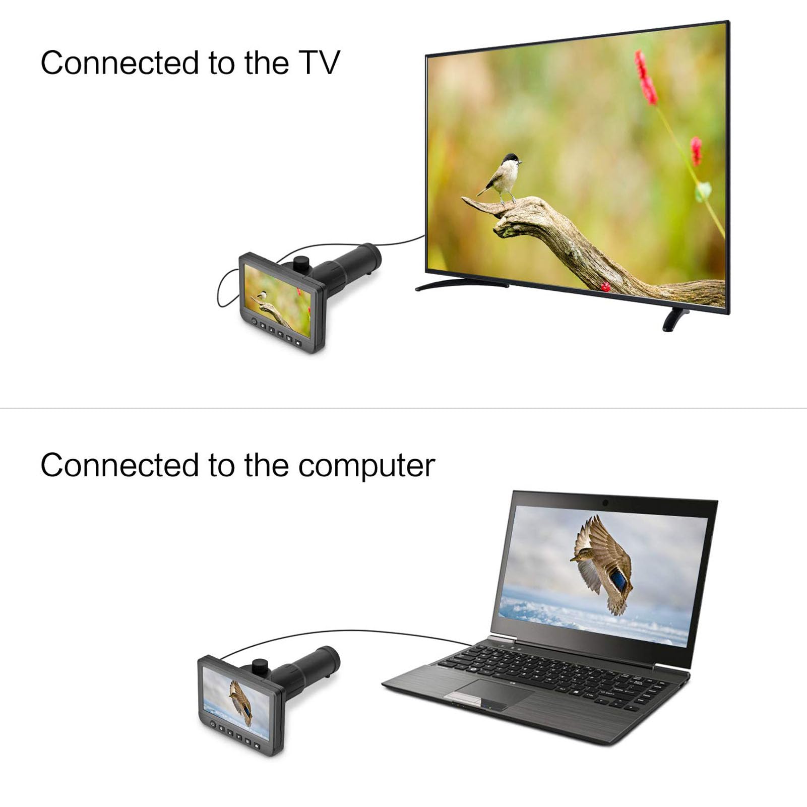 Cámara Telescópica Digital, Aumento de 50X, Telescopio Digital de Vídeo 1080P con Cámara, Grabadora de Fotografías y Vídeo con Pantalla LCD de 5 Pulgadas para Caza Al Aire Libre