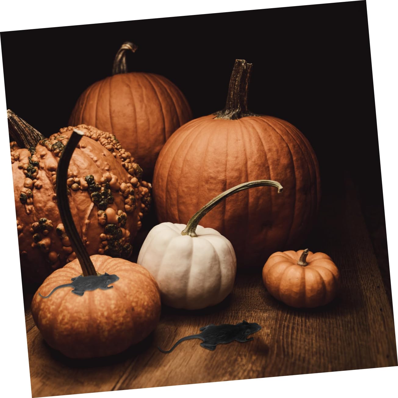Gefälschte Ratte 100 Stück Pvc Halloween Spielzeug für Halloween Party | Halloween Requisite, Halloween Tricks Requisiten, Knifflige Spielzeuge, Schwarz, Lebensechtes Tierdesign