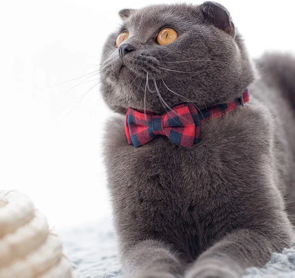 Cat Collar Breakaway with Bell and Bow Tie, Plaid Design Adjustable Safety Kitty Kitten Collars(6.8''-10.8'') (Red Plaid)