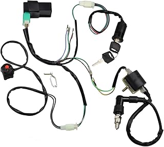 Wire Harness Wiring Loom CDI Ignition Coil Spark Plug Rebuild Kit for 50cc 70cc 90cc 110cc 125cc Stator CDI Coil ATV Quad Bike Buggy Go Kart