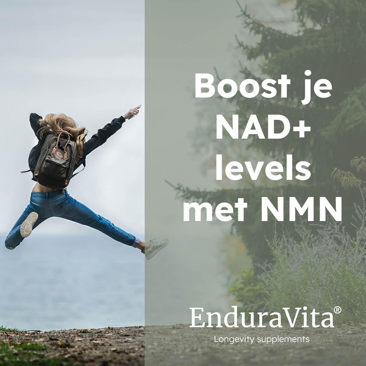 Premium NMN Polvo | >99,8% pureza | Potenciador de NAD+ | Uthever® NMN | Doble prueba de laboratorio (NL/EU/US) de calidad y seguridad | 30 gramos