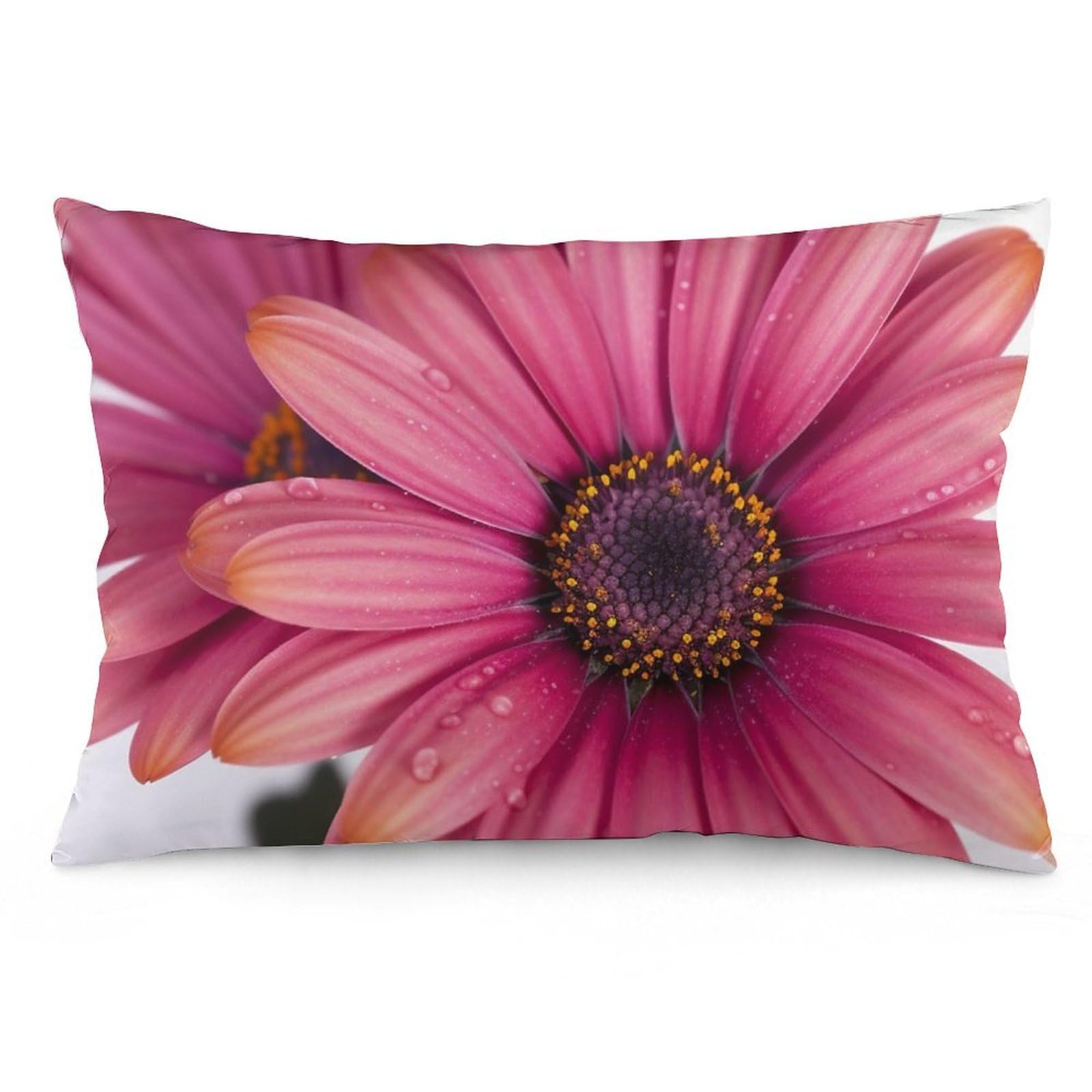 NTVOWPZO 2 Pack Decoration Throw Pillow Covers 12 "x20 Pillowcases Covers Daisy Flower Pillowcases Modern Farmhouse Home Decor Sofa Cushions Covers for Couch Bed Living Room