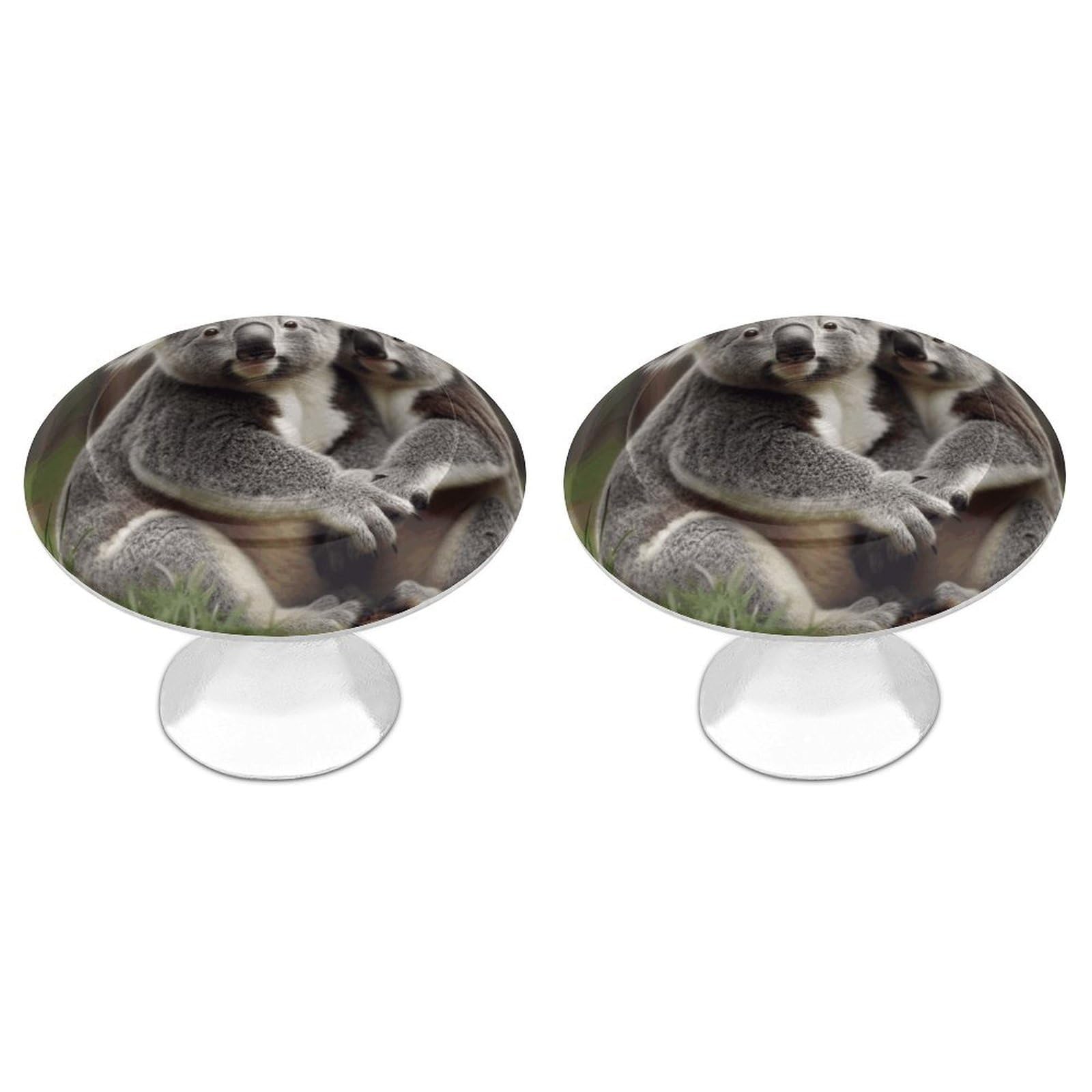 Btcowzrv Style Cute Koala Bear 2 Pack Cabinet Knobs Drawer Pulls