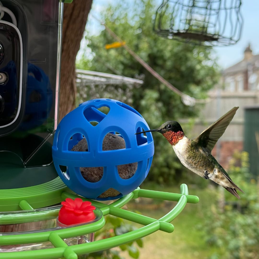 Blauer Meisenknödel-Halter, Käfig – Vogelfutterstation für Talg, passend für intelligente Futterspender für Kardinäle, Spechte, mehr – langlebiger blauer Vogelfutterspender – einfach zu installierende