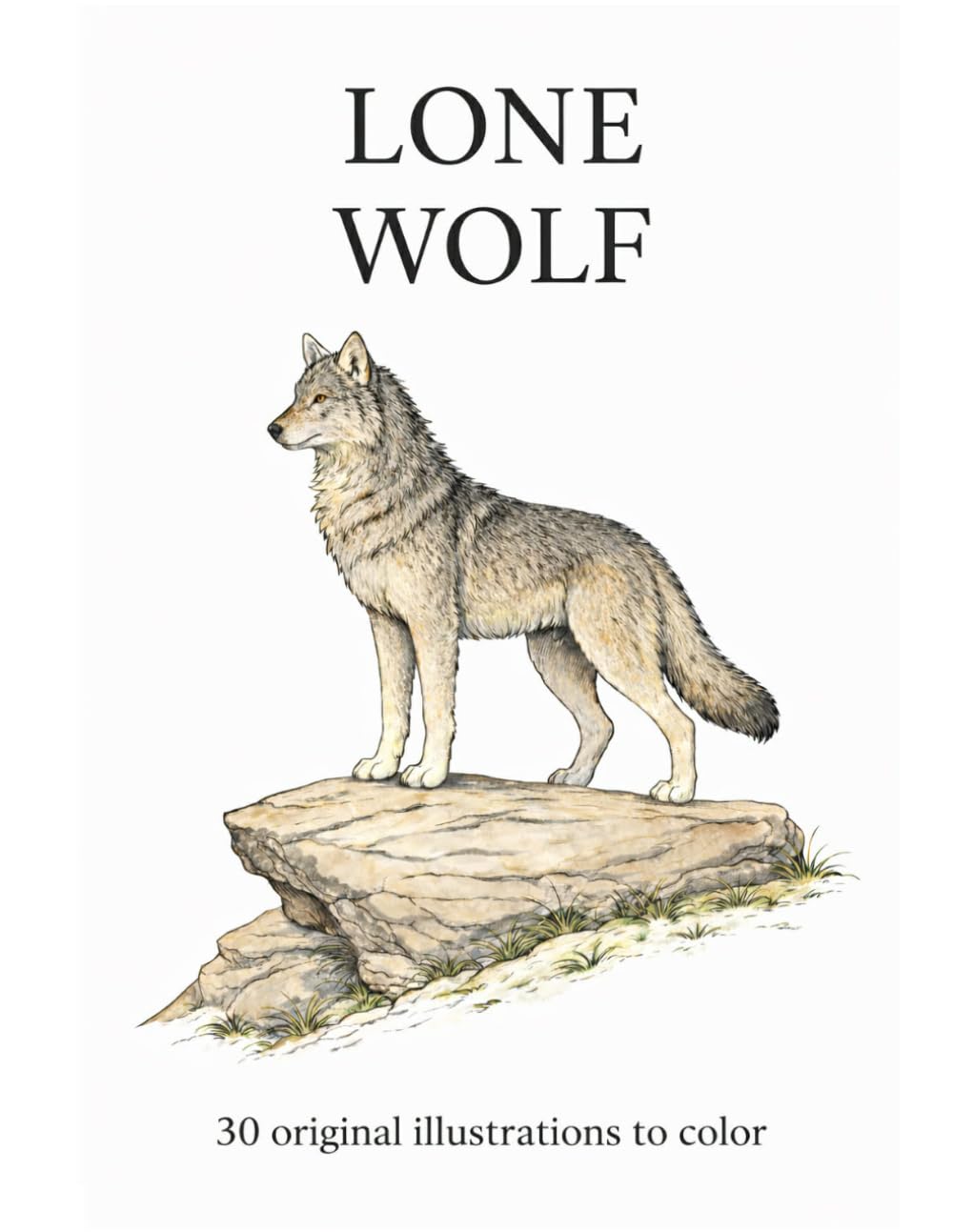 Lone Wolf: 30 realistic wolf illustrations to color