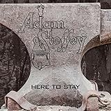 Here to Stay