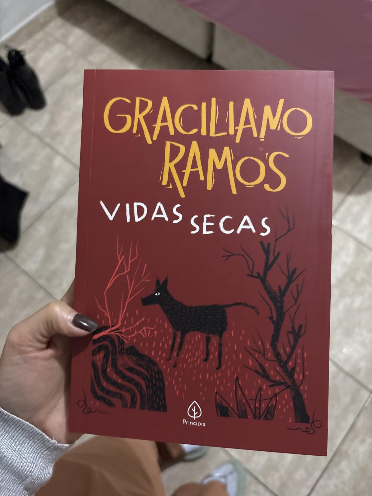 Vidas secas Vidas secas