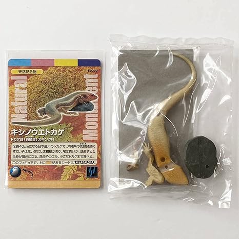 Amazon Co Jp 未開封 週刊 日本の天然記念物 動物編 キシノウエトカゲ カード付き 海洋堂 立体模型 フィギュア 沖縄県 先島諸島 ホビー 通販 Amazon Co Jp 未開封 週刊 日本の天然記念物 動物編 キシノウエトカゲ カード付き 海洋堂 立体模型 フィギュア 沖縄県 先島諸島 ホビー 通販