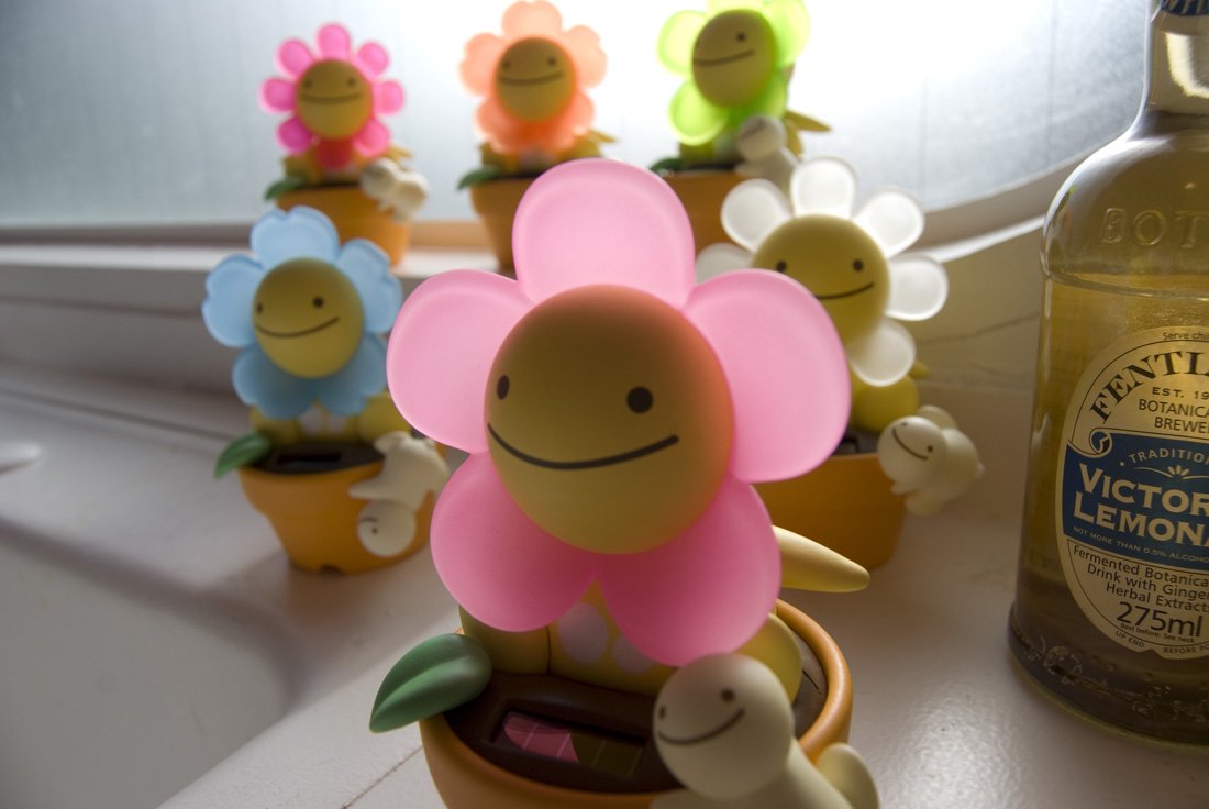 Amazon | のほほん族 花 01ピンク | おもちゃ雑貨 | おもちゃ