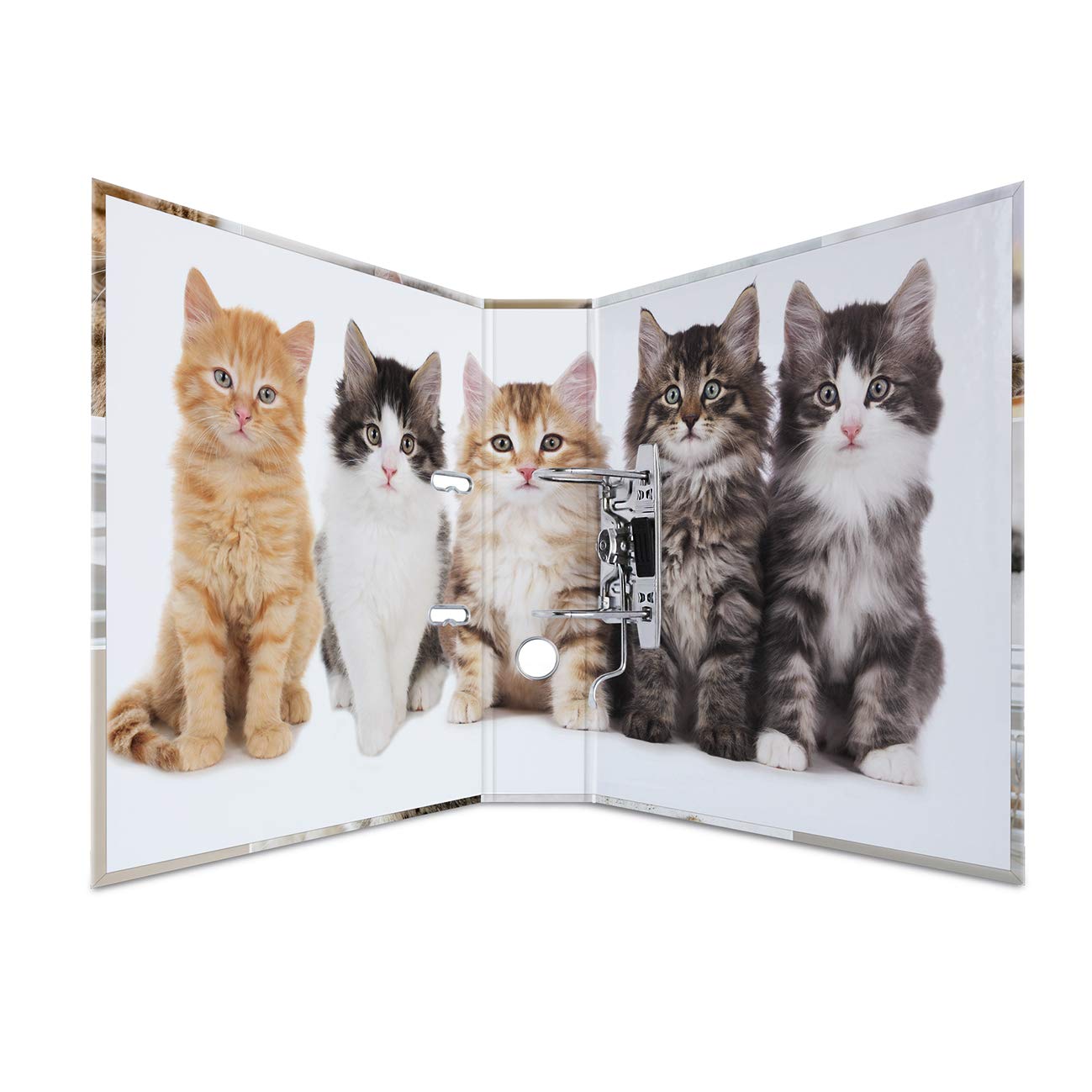 Herma Set di raccoglitori ad anelli per bambini, formato A4, 10 pezzi, larghezza 7 cm, con motivo animali, colorato, con stampa interna, per ragazzi e ragazze