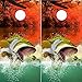 Speed Demon Hot Rod Shop Cornhole Board Wraps ~ Largemouth Bass Cornhole Board Wraps Laminated Vinyl Graphic Decal Sheets (Set of 2) CHB