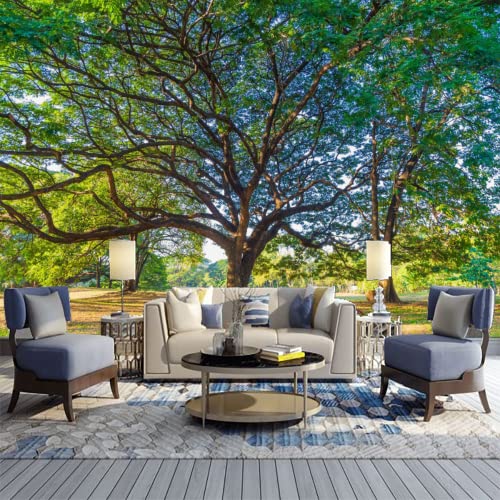 Fotomurali Carta da Parati Primavera Grande Albero...