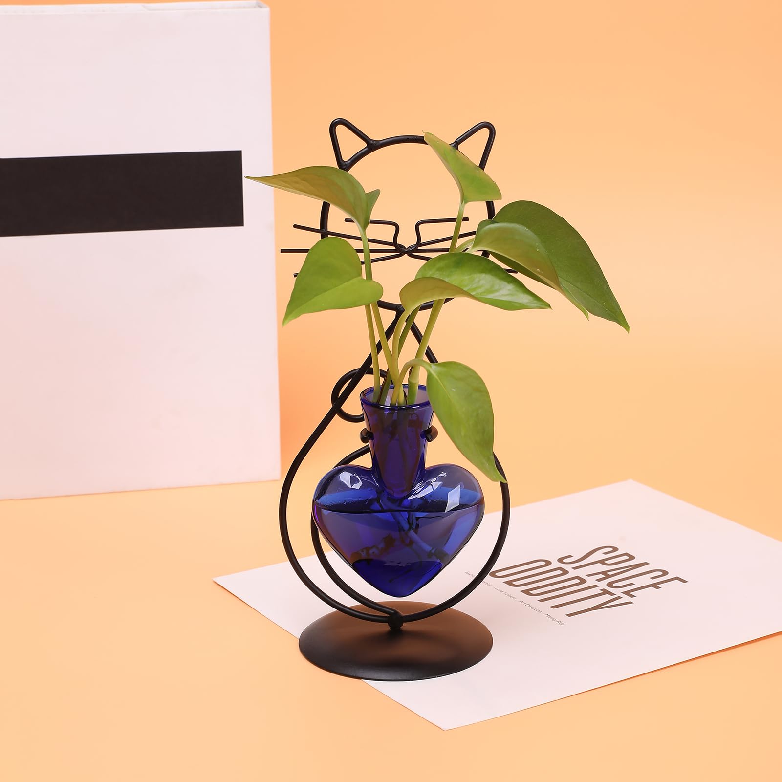 Pflanzen-Terrarium, Anzuchtstation, Katzenliebhaber, Geschenke für Frauen, Pflanzenliebhaber, Heimbüro, Dekoration, Katzen-Schreibtisch-Zubehör