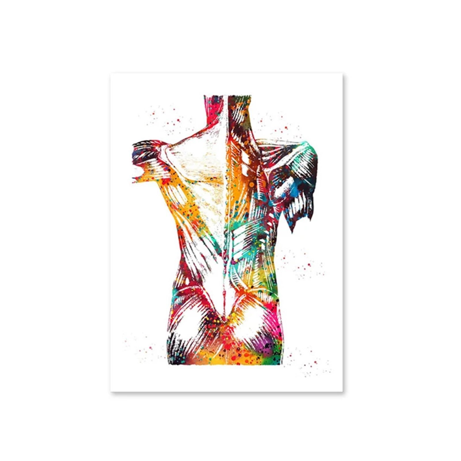 Anatomie humaine muscles affiche cœur poumons os art mural médical 60x90