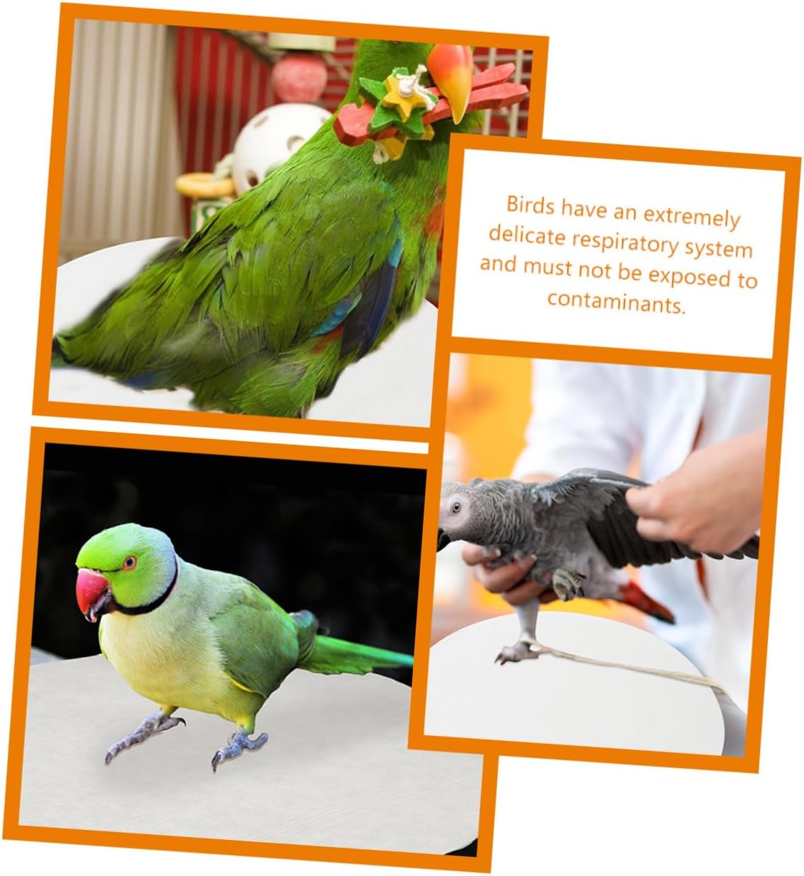 100pcs Parrot Cage Bottom Liners Round Absorbent Bird Cage Mats Thick Water-Resistant Pet Accessories for Easy Clean and Healthy Birds
