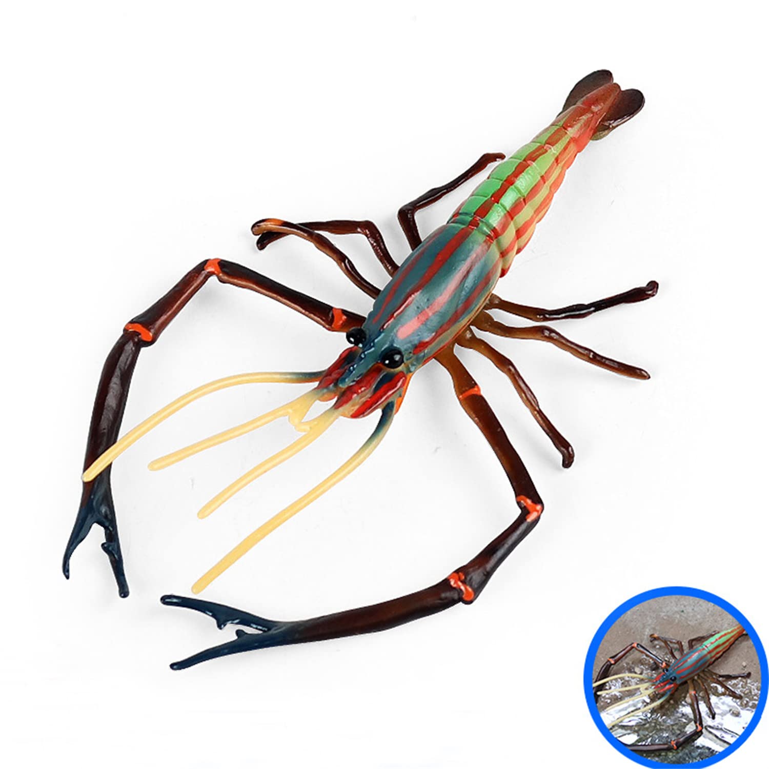 Amazon | MAIBED オニテナガエビ 海洋動物 フィギュア テナガエビ科