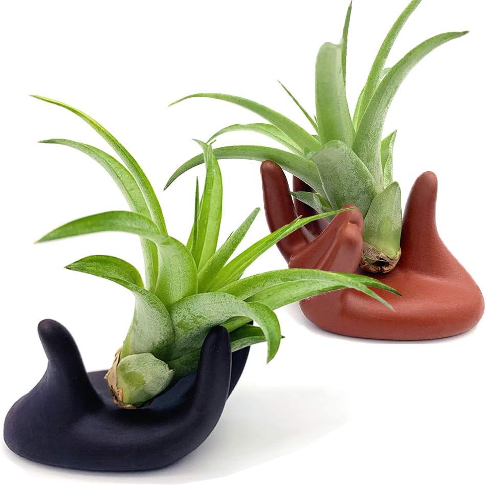 2 Pcs Small Clay Air Plant Stand Pot Art Hand Shape Holder Fuego Planter Lonantha Tillandsia Plant Display Racks, Live Tropical House Plants for Tabletop, Home Decor-Indoor Air Plants (Black&Red)