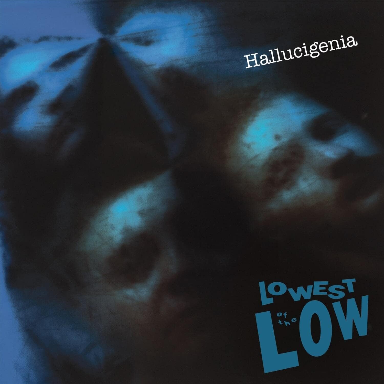 Hallucigenia (Gatefold LP Jacket) por Artista não identificado — capa do álbum