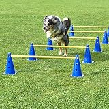 Neuware! Sofort lieferbar Unbekannt Kegel-Hürden 5er Set, blau/gelb, mit Tragetasche, für Agility - Hundetraining
