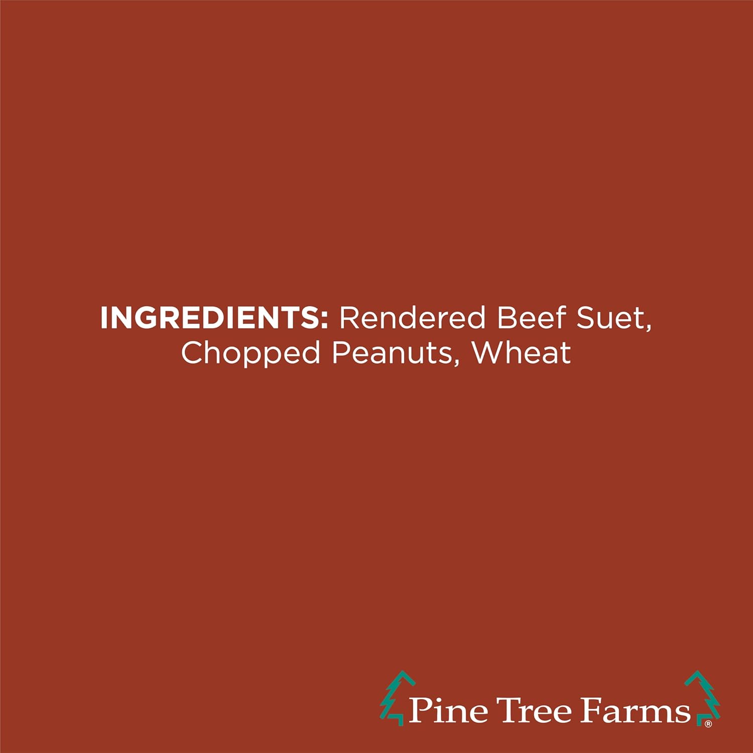 Pine Tree Farms Peanut Butter Suet Cake for Wild Birds 12 oz. (Pack of 12)