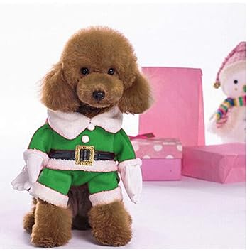 Delifur Dog Christmas Costumes with Hat Dog Santa Costume Dog Xmas Costume for Small Dog Cat Puppy (Green,L)