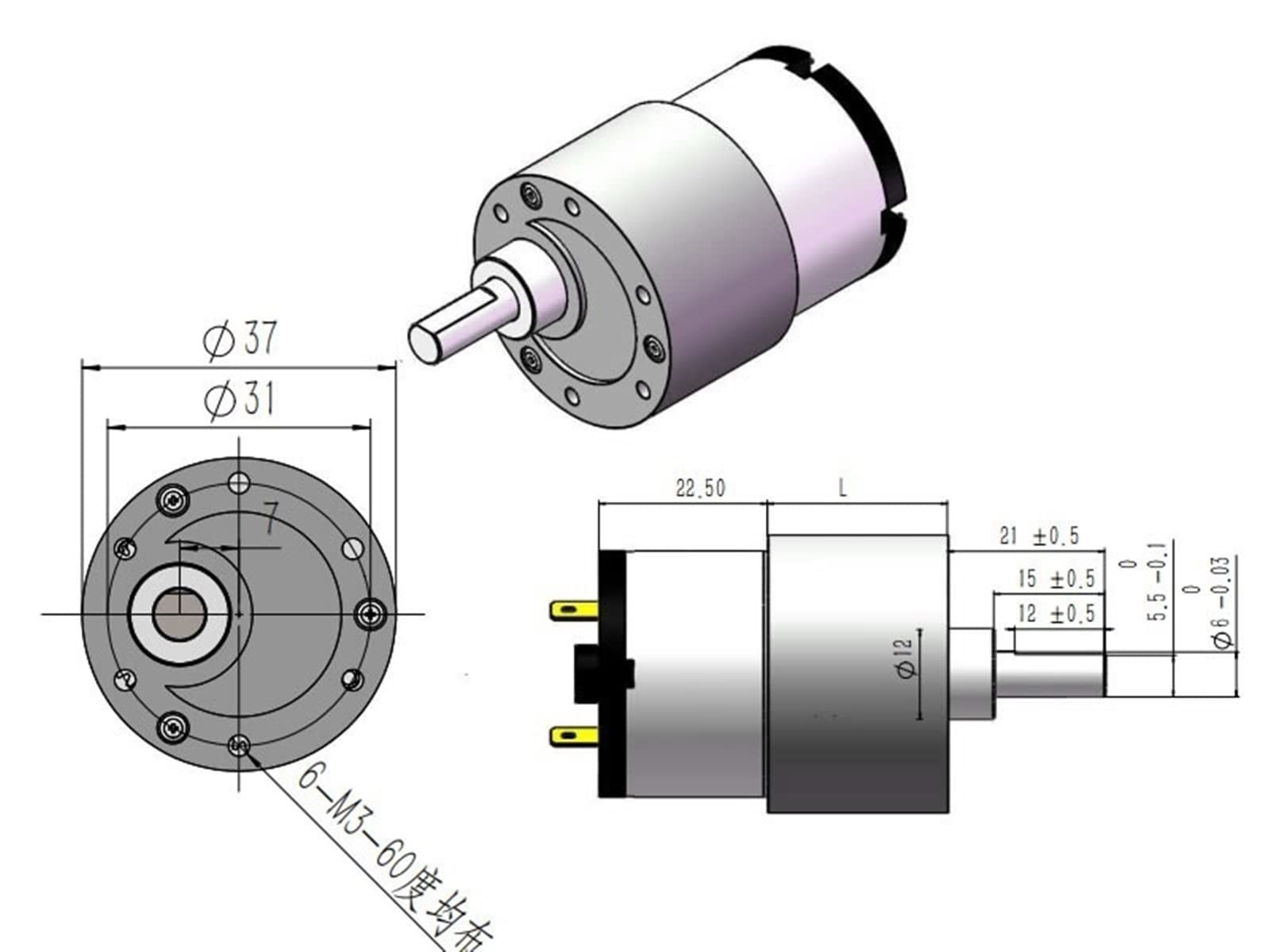 JGB37-520 Getriebemotor – Metallgetriebe, 6V/12V/24V, Mit Halterung, Für Werbetechnik, Wasserspender & 4WD-Autos