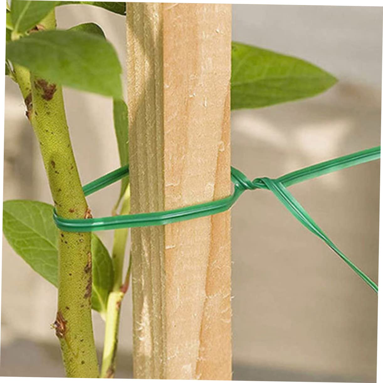 ifundom 4 Sätze Gartenbinder Pflanzenschnur Gartenklammern Pflanzen Flexibler Draht Pflanzenbinder Baumstützpfähle Wiederverwendbare Gartenschnur Robuste 500 Stück * 4