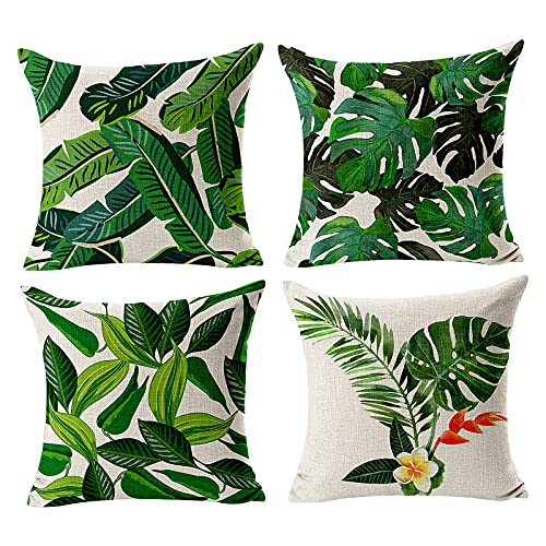 hojas de platano en » Regalos y lotes