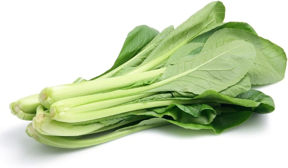 Choy Pak Choi Seed (approx. 6000 seeds) - Herb Heirloom Vegetable