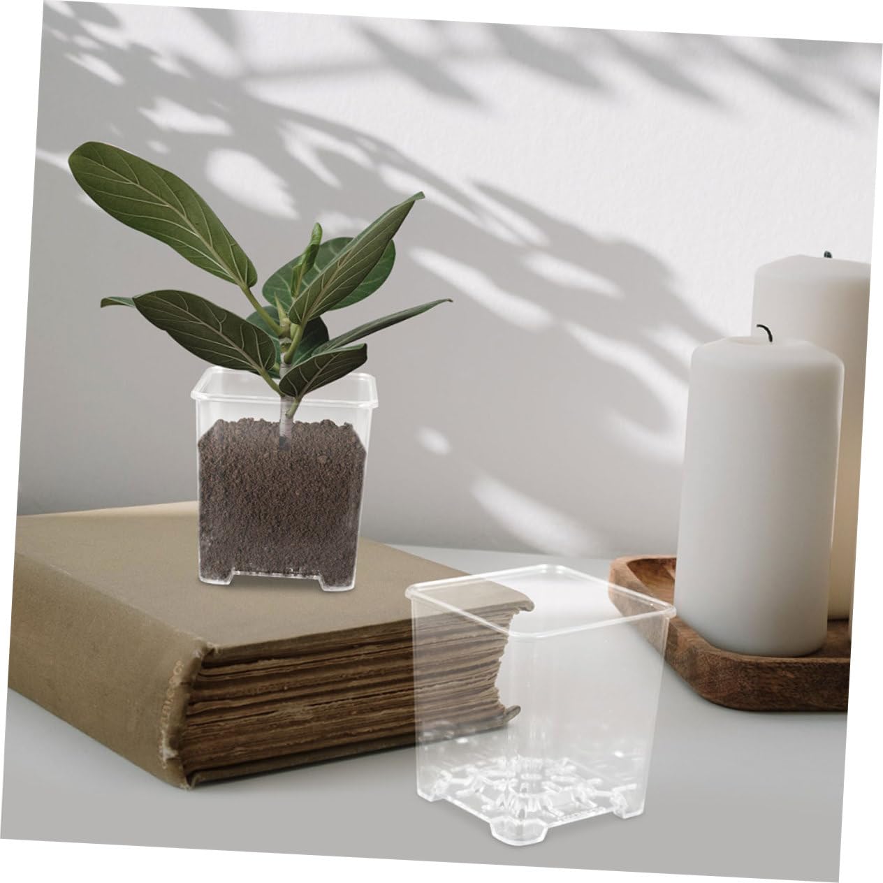 Transparenter Orchideentopf Acryl mit Schlitzen, 4 Stück