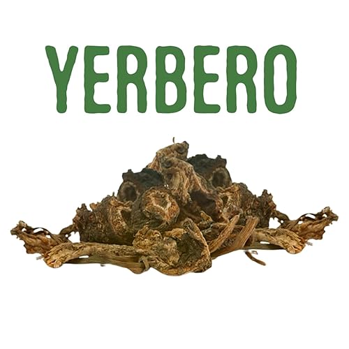 Miniatura 6 de Yerbero - Raíz de Osha 3.5 oz (100 g)  Raiz de Chuchupate  Ligusticum porteri  Zanahoria de montaña, raíz de oso  100% natural  Purificación,