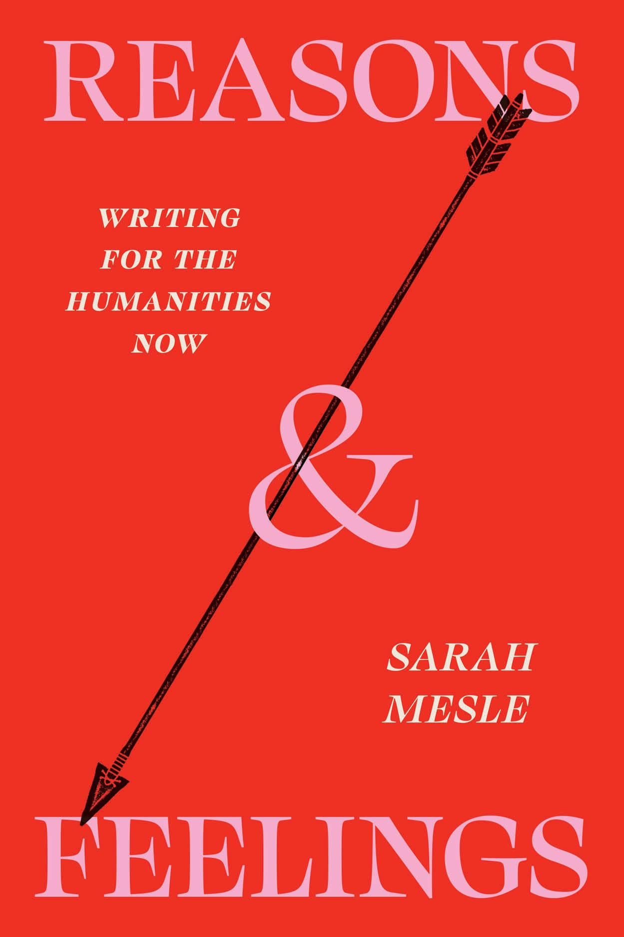 Reasons and Feelings by Sarah Mesle PAPERBACK 9780226843629
